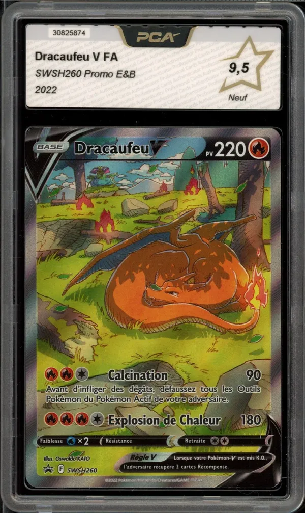 PCA 9.5 Dracaufeu V