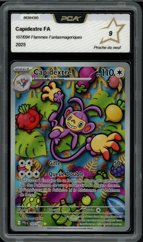 PCA 9 Capidextre
