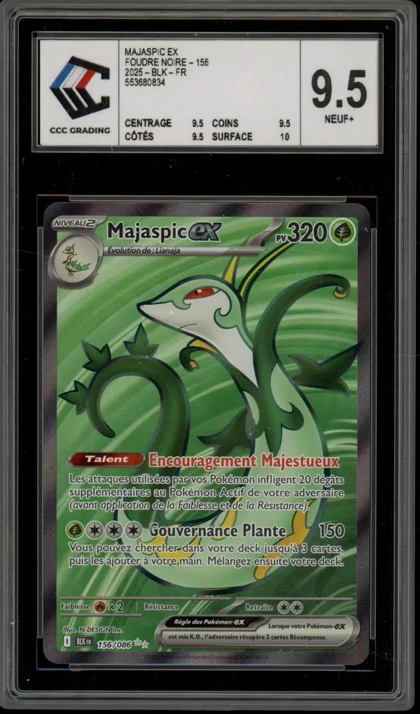 CCC 9.5 Majaspic Ex