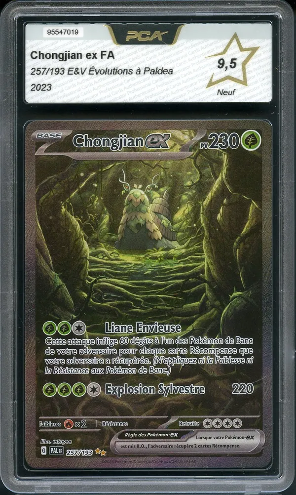 PCA 9.5 Chongjian Ex