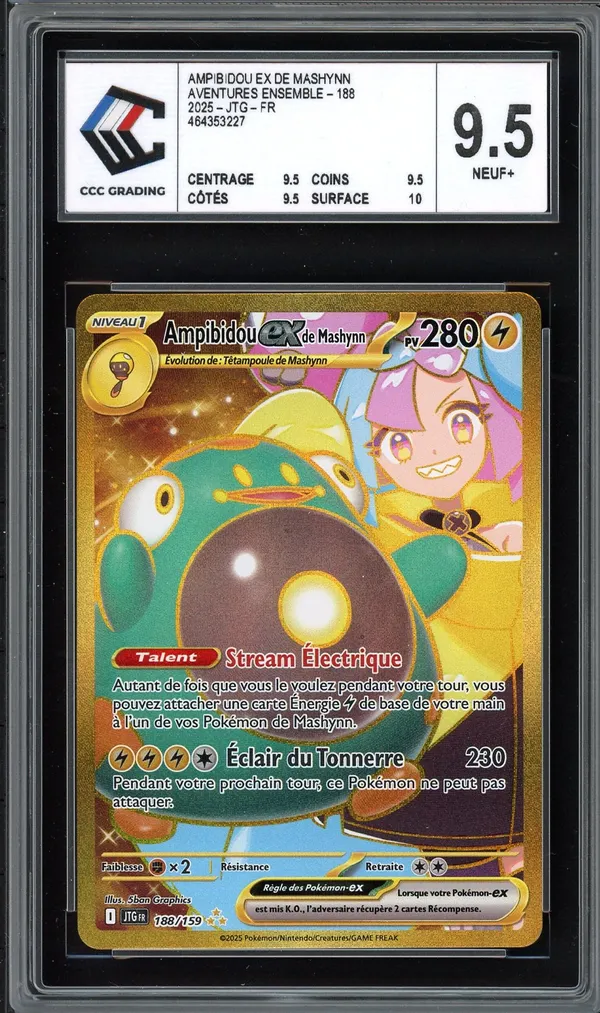 CCC 9.5 Ampibidou Ex de Mashynn Gold