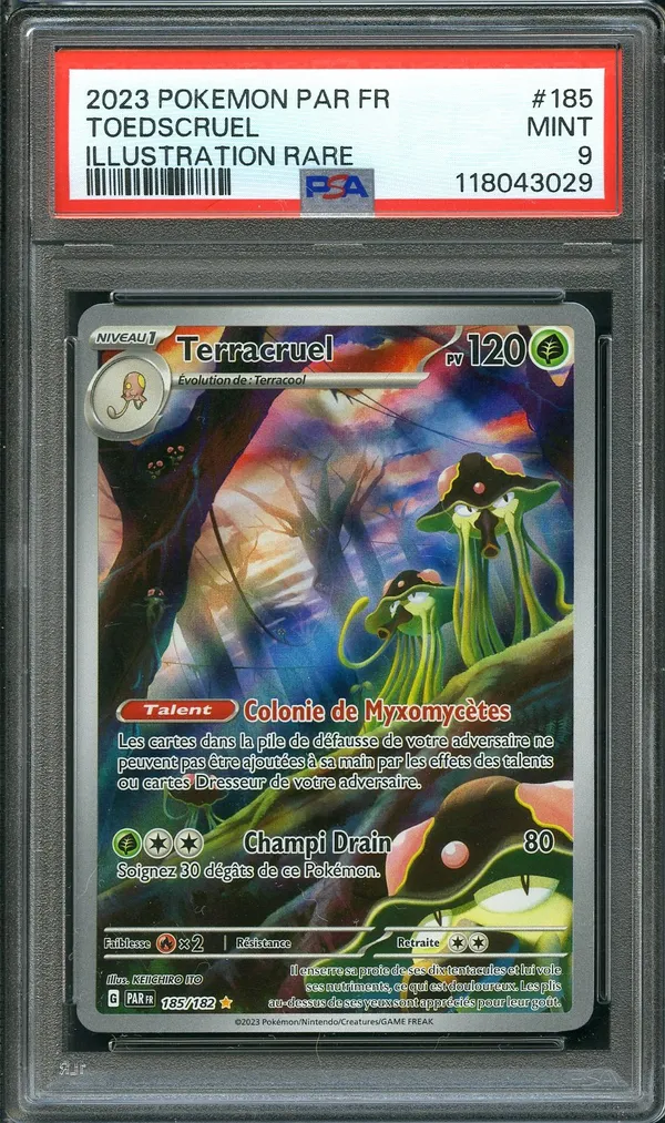 PSA 9 Terracruel