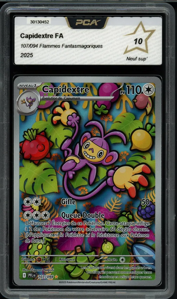 PCA 10 Capidextre