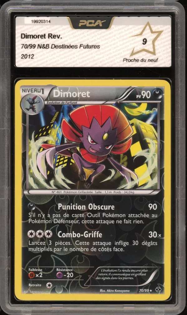 PCA 9 Dimoret Reverse