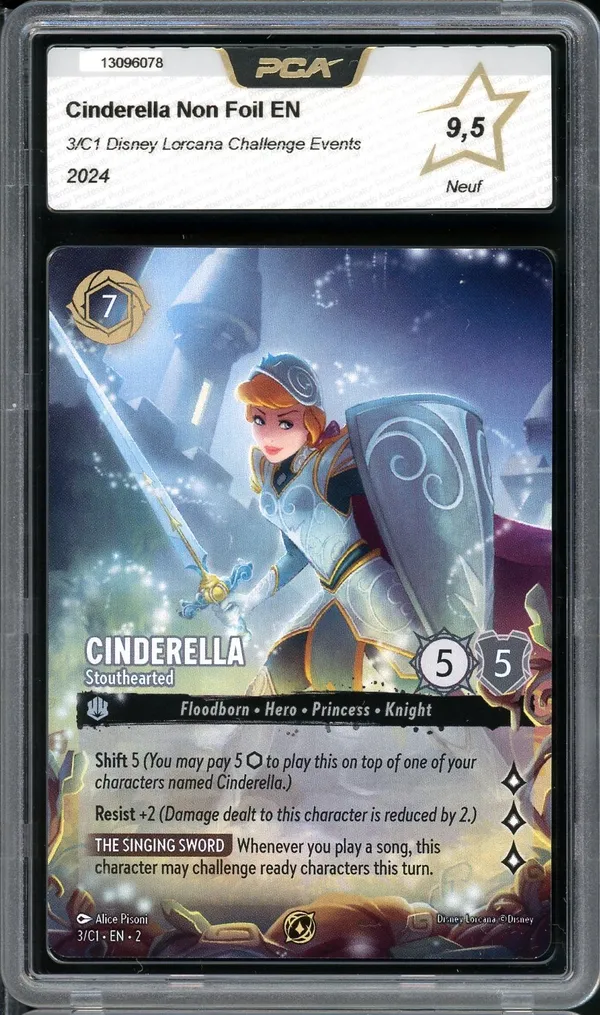 PCA 9.5 Cinderella Challenge Events
