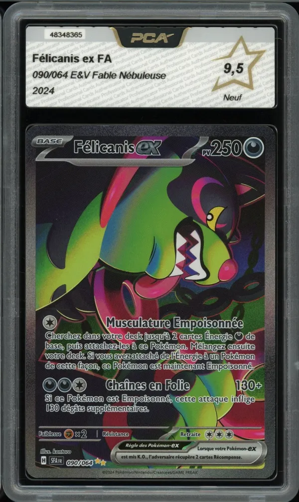 PCA 9.5 Félicanis Ex