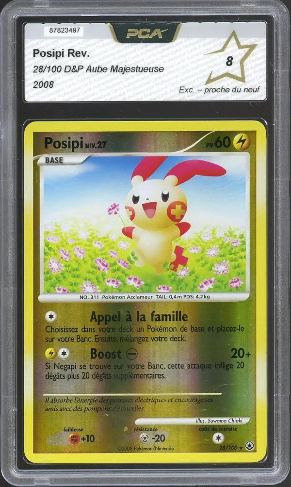 PCA 8 Posipi Reverse