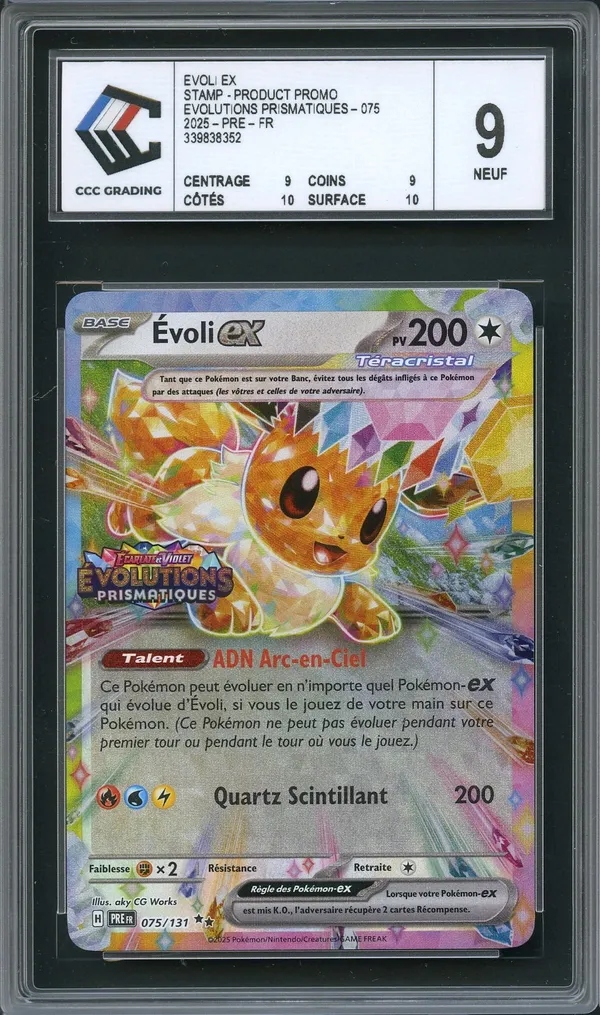 CCC 9 Évoli Ex Stamp