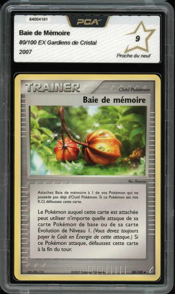 PCA 9 Baie de Mémoire