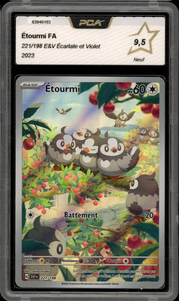 PCA 9.5 Etourmi