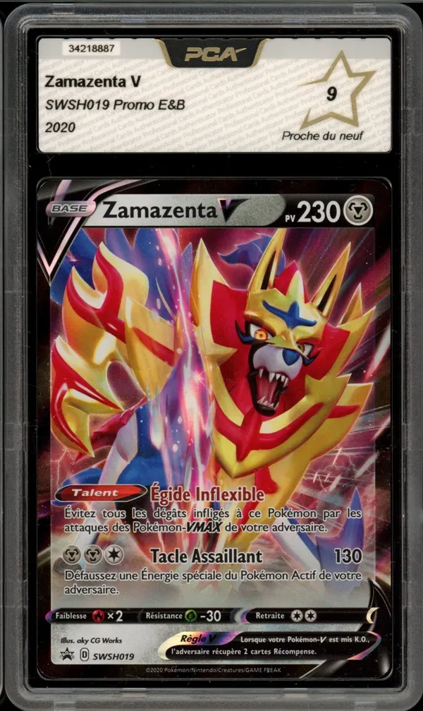 PCA 9 Zamazenta V
