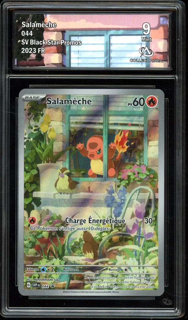 CA 9 Salamèche