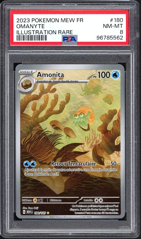 PSA 8 Amonita