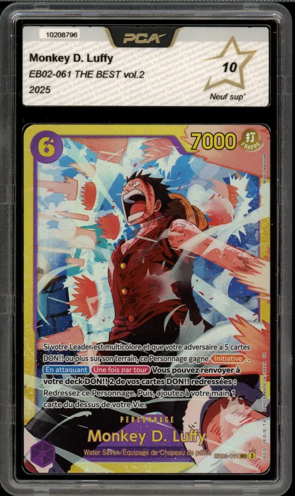 PCA 10 Monkey D. Luffy