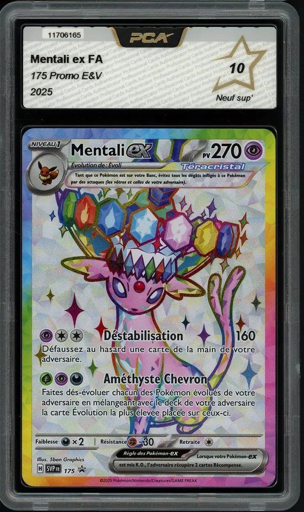 PCA 10 Mentali Ex