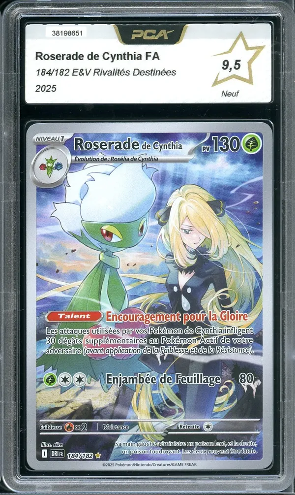 PCA 9.5 Roserade de Cynthia