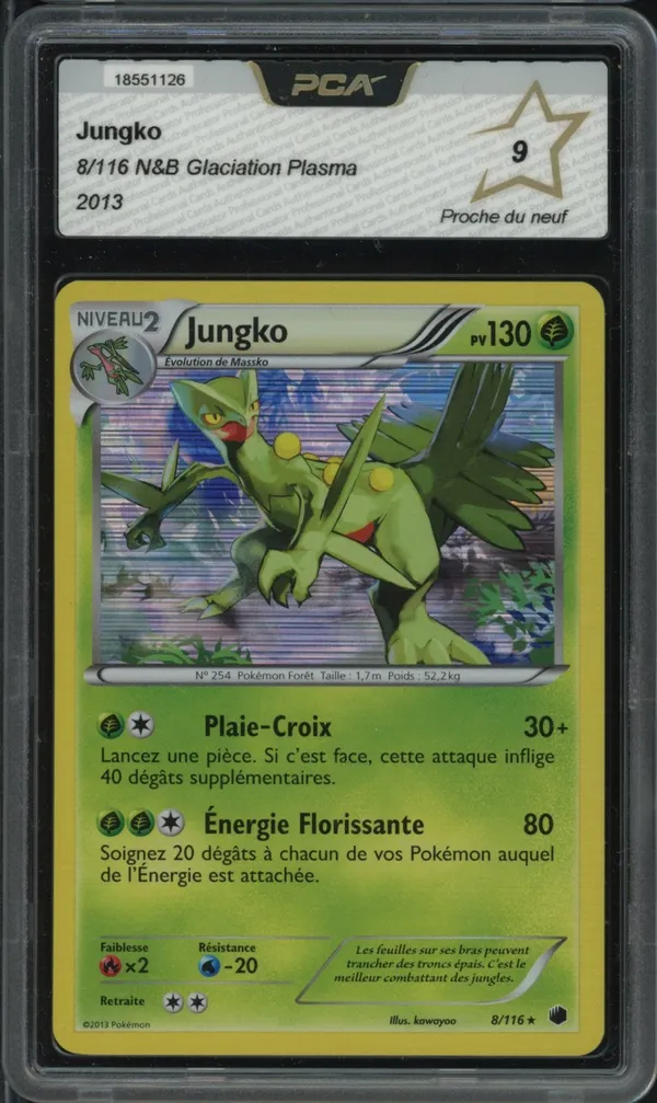 PCA 9 Jungko Holo