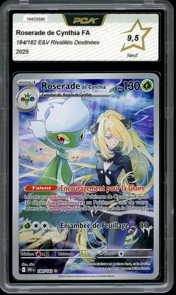 PCA 9.5 Roserade de Cynthia