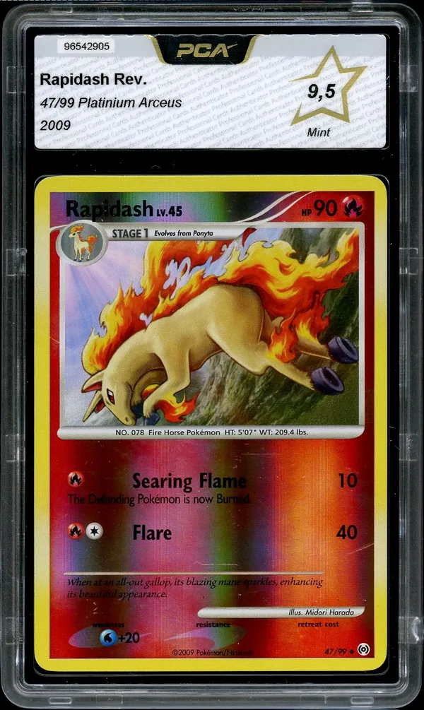 PCA 9.5 Rapidash Reverse