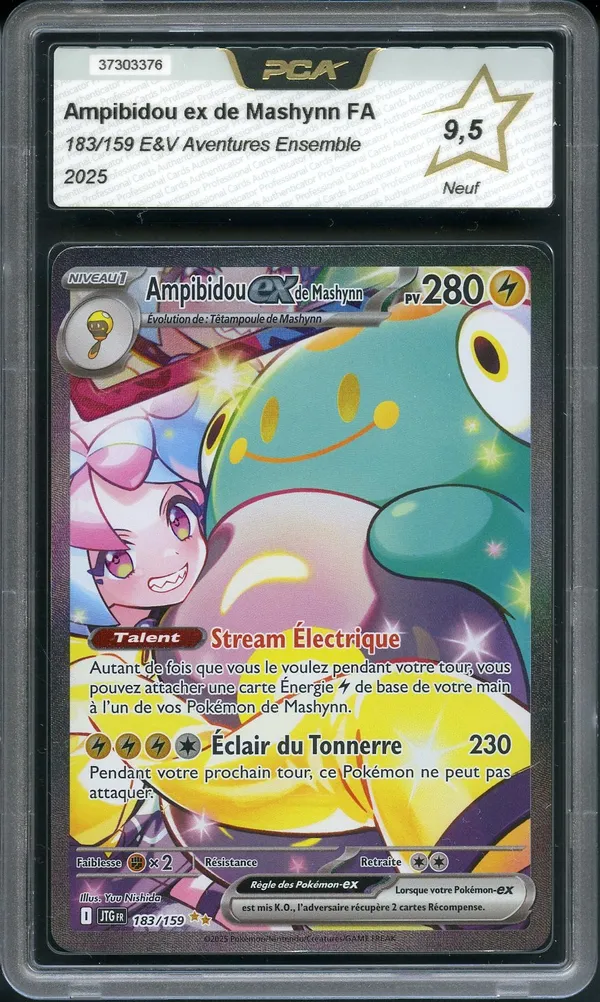 PCA 9.5 Ampibidou Ex de Mashynn