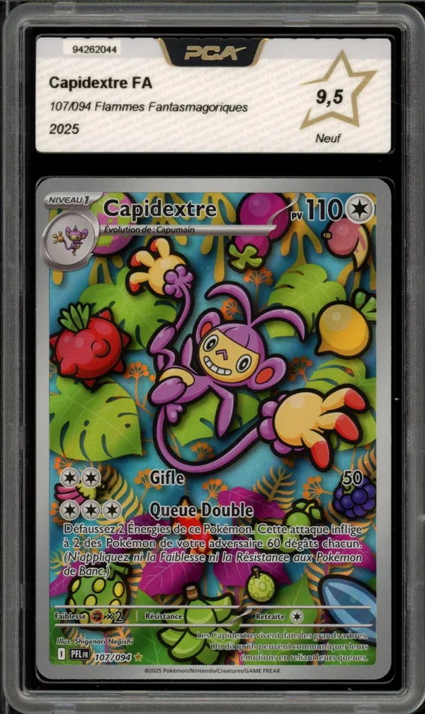 PCA 9.5 Capidextre