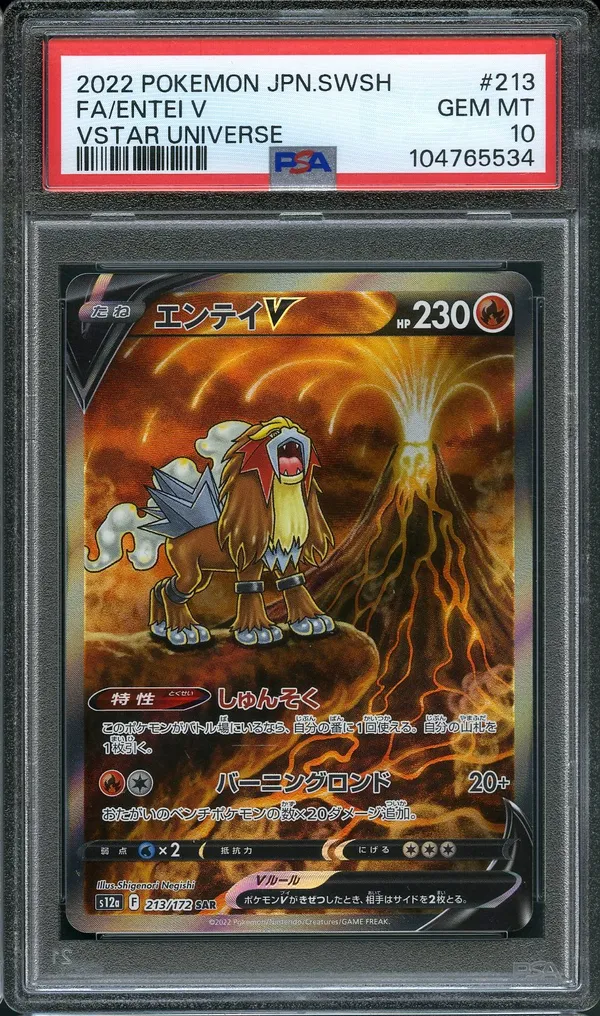 PSA 10 Entei V