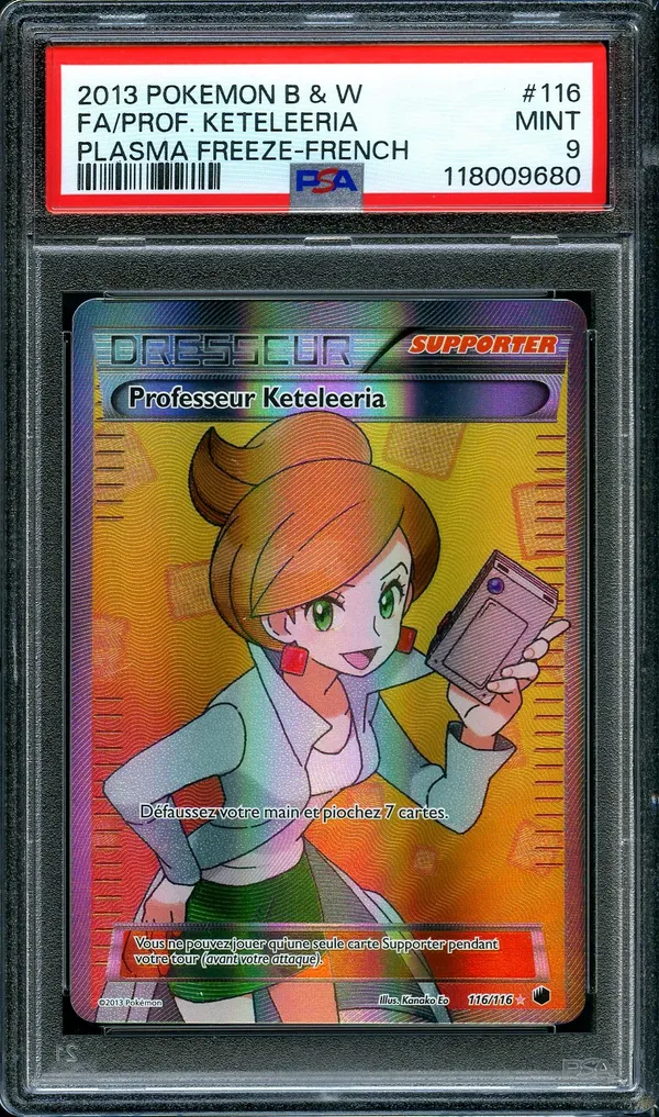 PSA 9 Professeur Keteleeria