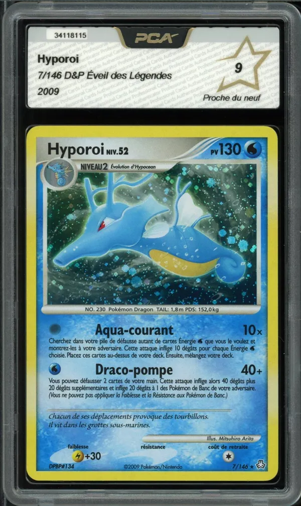 PCA 9 Hyporoi Holo
