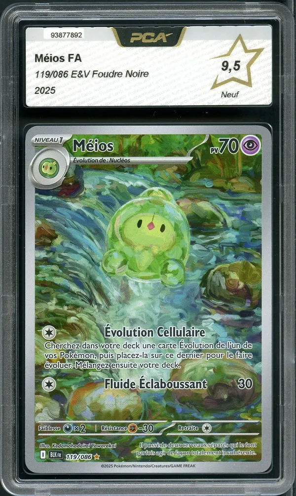 PCA 9.5 Méios