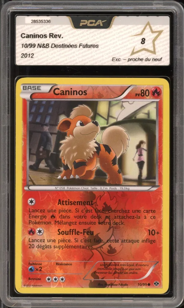 PCA 8 Caninos Reverse