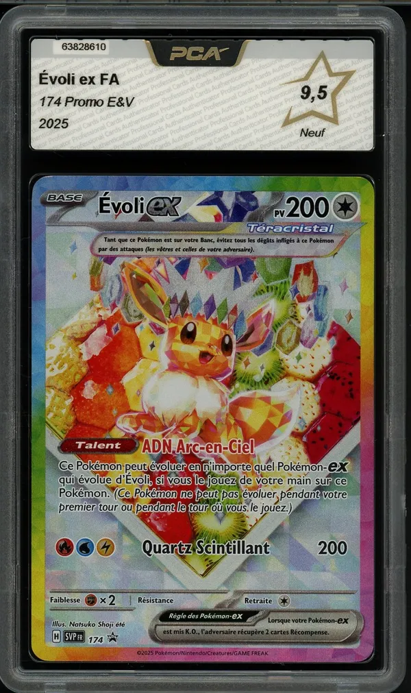PCA 9.5 Evoli Ex
