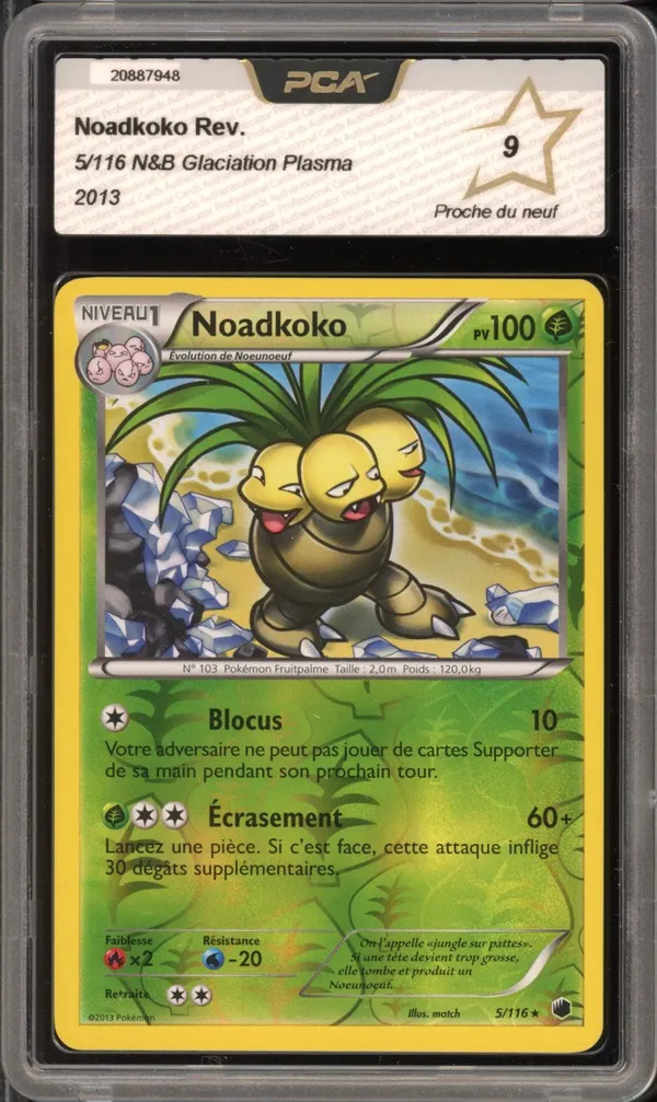PCA 9 Noadkoko Reverse