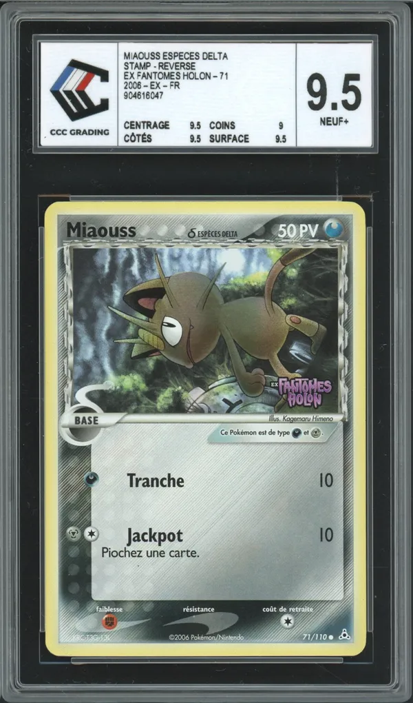 CCC 9.5 Miaouss Reverse