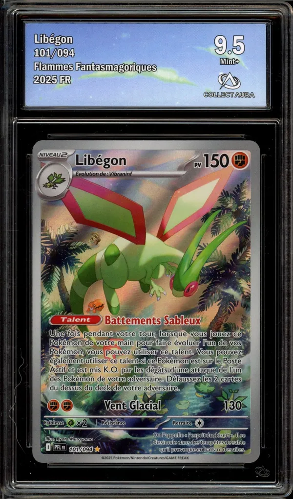 CA 9.5 Libegon