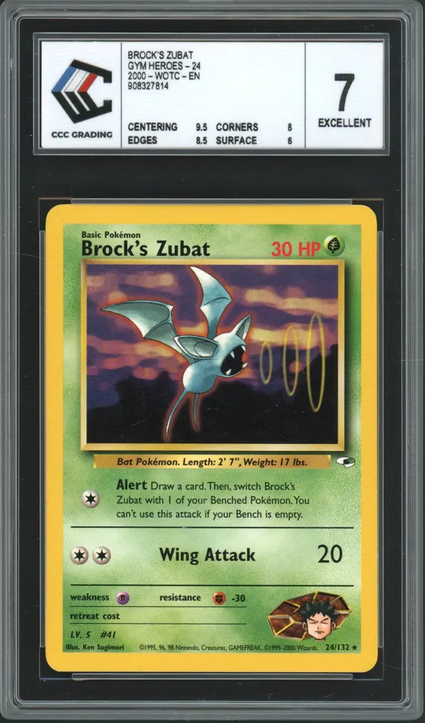 CCC 7 Brock's Zubat
