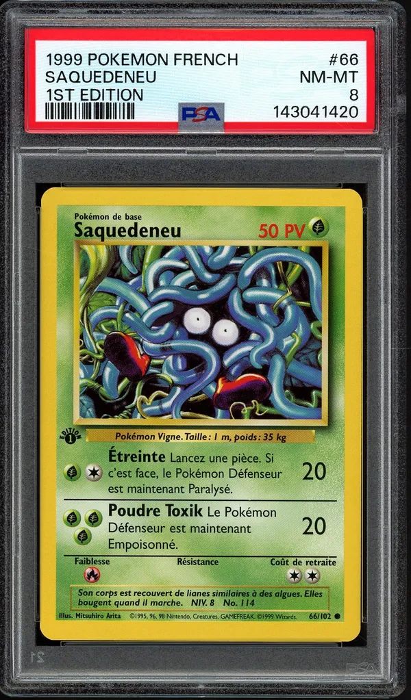 PSA 8 Saquedeneu