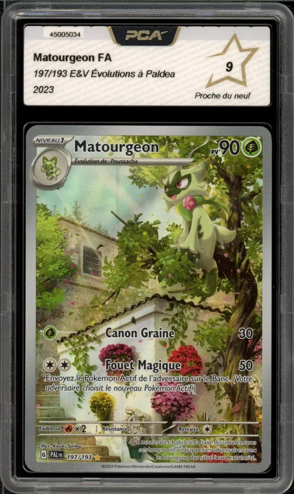 PCA 9 Matourgeon