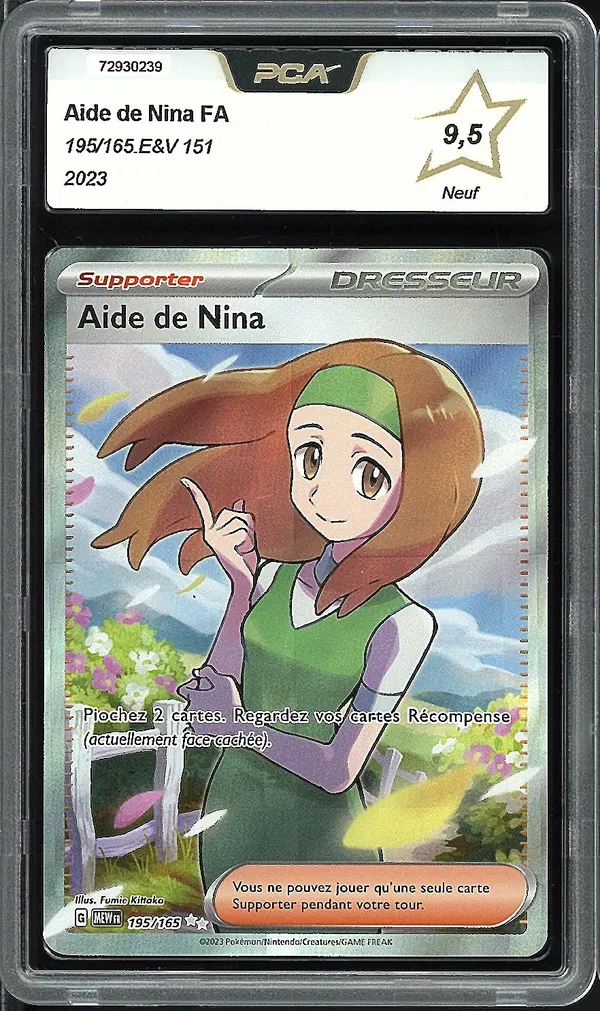 PCA 9.5 Aide de Nina