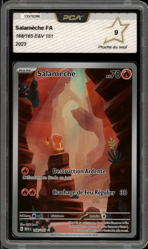 PCA 9 Salamèche