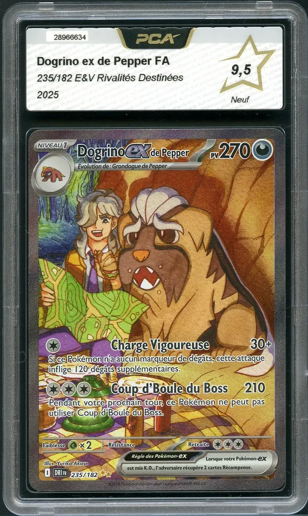 PCA 9.5 Dogrino Ex de Pepper