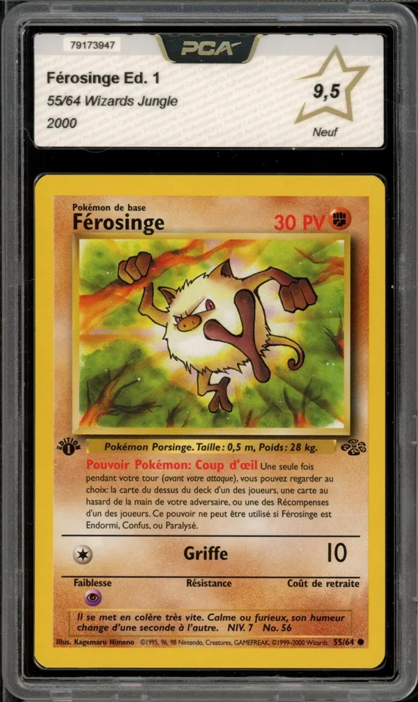 PCA 9.5 Férosinge