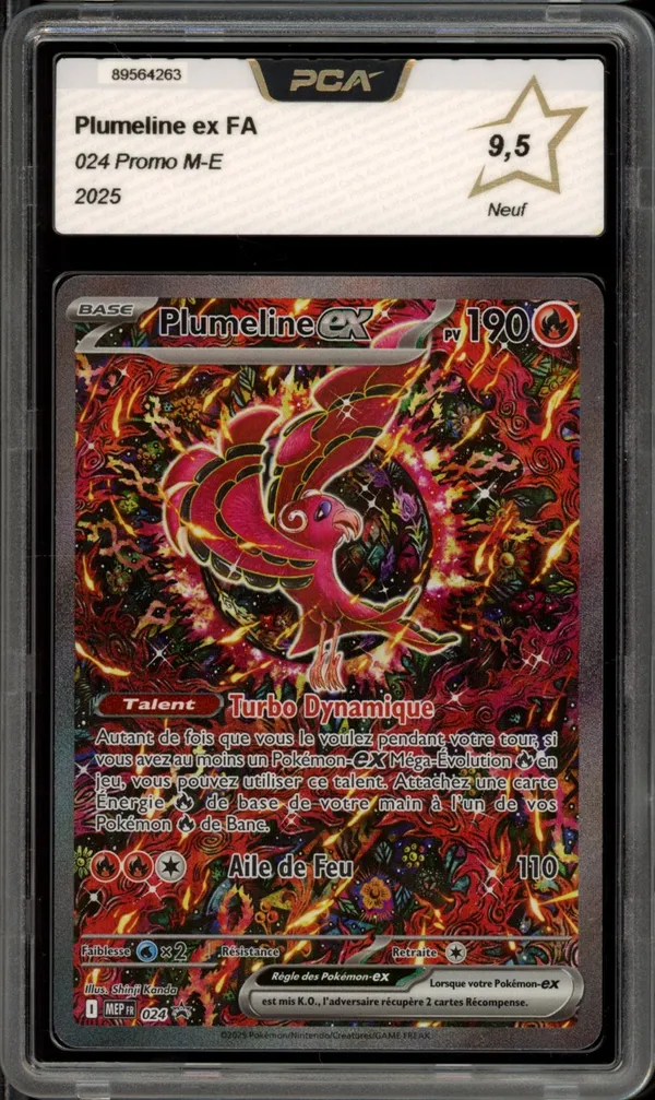 PCA 9.5 Plumeline Ex