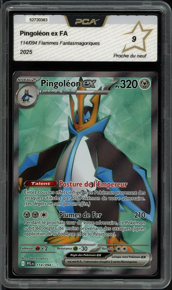 PCA 9 Pingoléon Ex