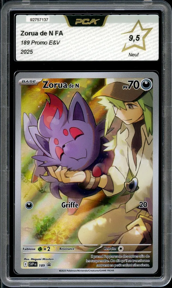 PCA 9.5 Zorua de N