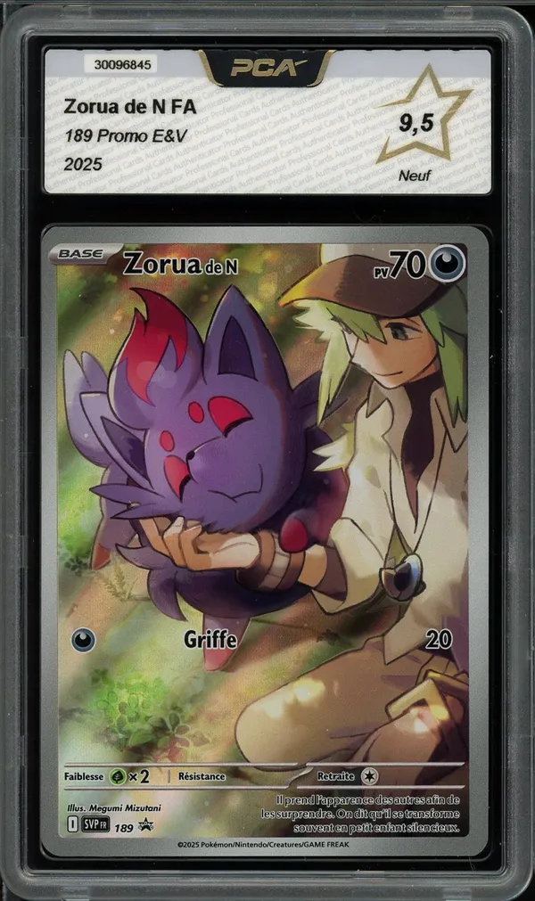 PCA 9.5 Zorua de N