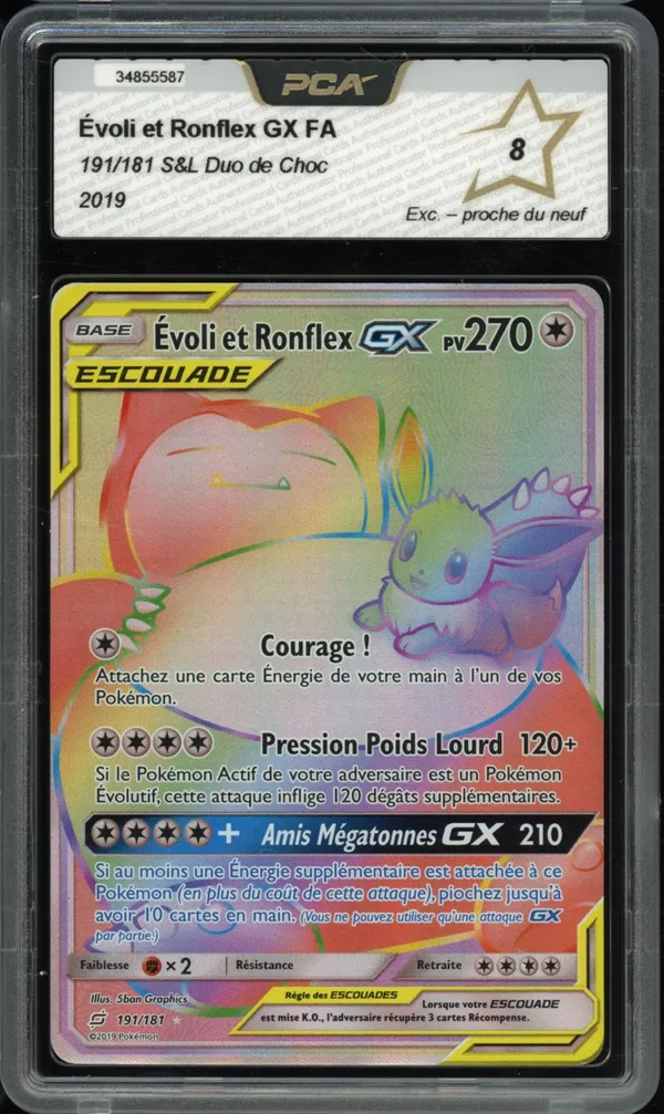 PCA 8 Evoli et Ronflex Gx Rainbow