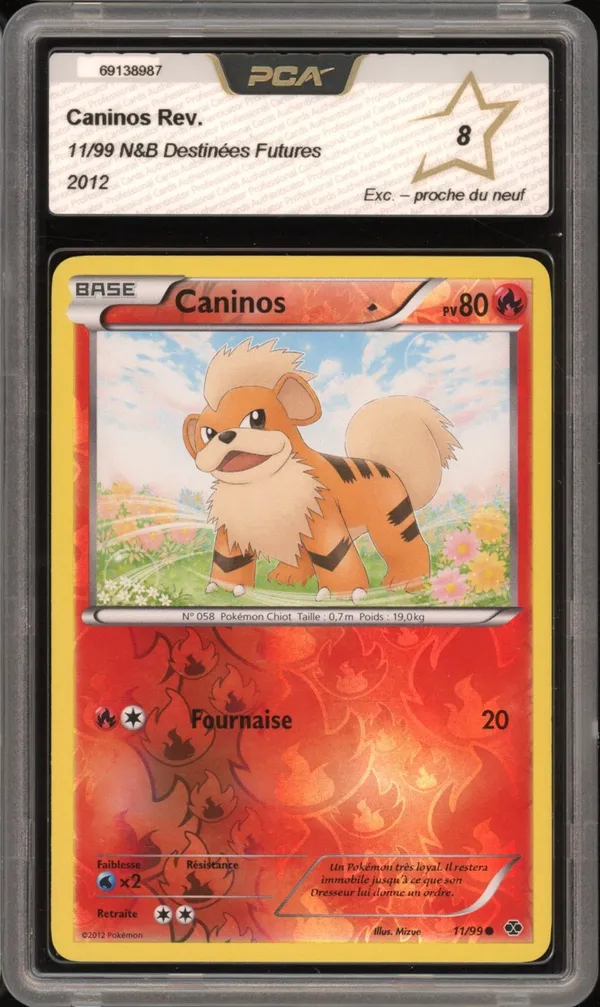 PCA 8 Caninos Reverse