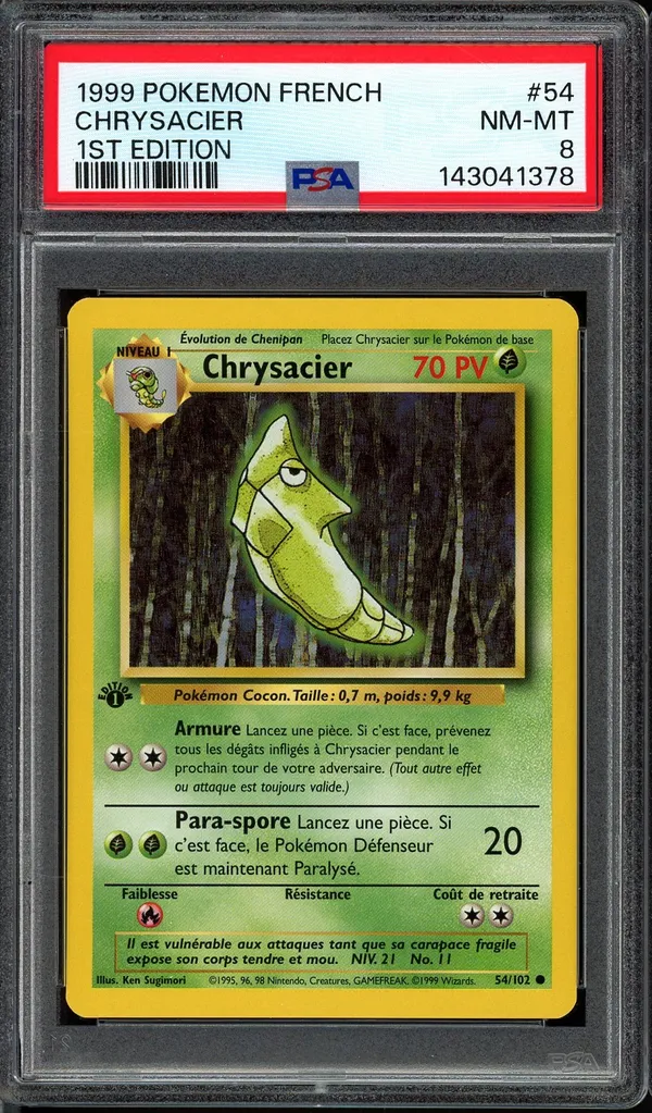 PSA 8 Chrysacier
