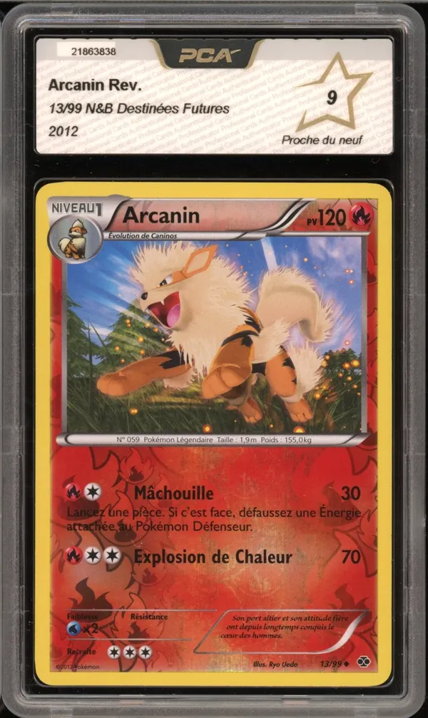 PCA 9 Arcanin Reverse