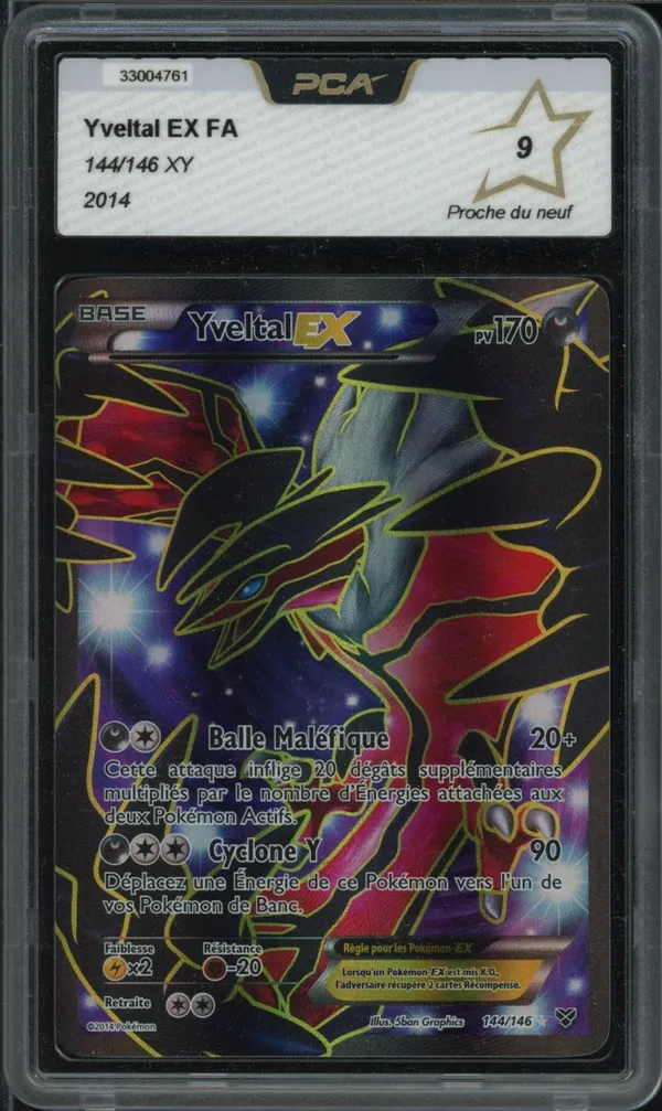 PCA 9 Yveltal Ex